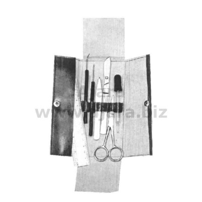 Basic Dissecting Set