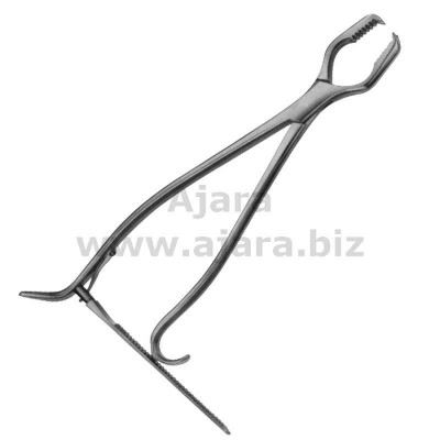 Lane Bone Holding Forceps