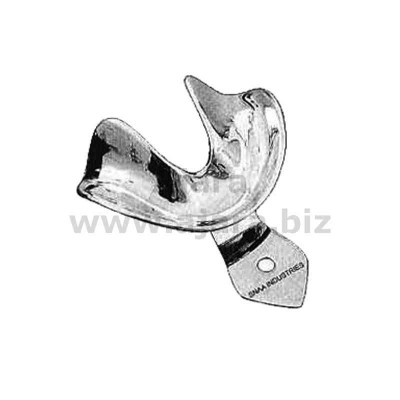 Impression Tray, Solid Full Denture, Lower, XL